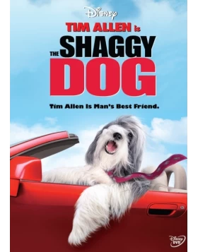 ΤΟ ΣΚΥΛΟΛΟΙ - SHAGGY DOG DVD USED