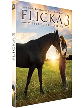 FLICKA 3 ΟΙ ΚΑΛΥΤΕΡΟΙ ΦΙΛΟΙ - FLICKA 3 BEST FRIENDS DVD USED