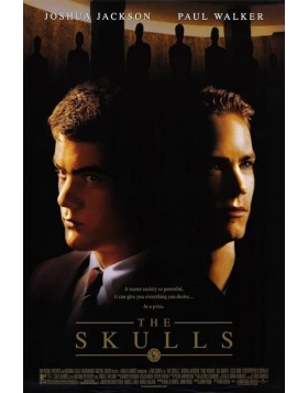 THE SKULLS DVD USED