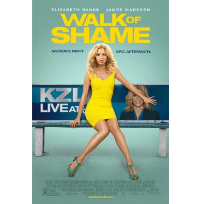 ΤΟ 24ΩΡΟ ΜΙΑΣ ΞΑΝΘΙΑΣ - WALK OF SHAME DVD