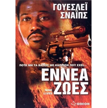 ΕΝΝΕΑ ΖΩΕΣ - NINE LIVES DVD USED