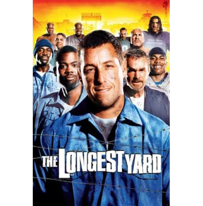 ΠΡΩΤΑΘΛΗΜΑ ΓΙΑ ΒΑΡΥΠΟΙΝΙΤΕΣ - THE LONGEST YARD DVD USED