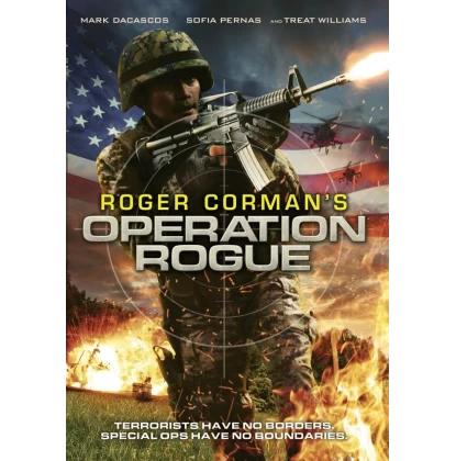 ΕΠΙΧΕΙΡΗΣΗ ΚΑΘΑΡΜΑΤΑ - OPERATION ROGUE DVD USED