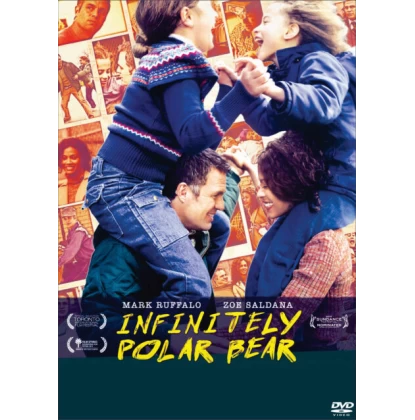 ΟΙΚΟΓΕΝΕΙΑΚΕΣ ΑΝΙΣΟΡΡΟΠΙΕΣ - INFINITELY POLAR BEAR DVD USED