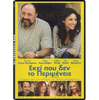 ΕΚΕΙ ΠΟΥ ΔΕΝ ΤΟ ΠΕΡΙΜΕΝΕΙΣ - ENOUGH SAID DVD USED