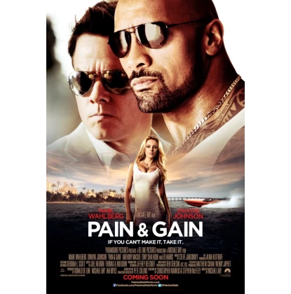 PAIN & GAIN DVD USED