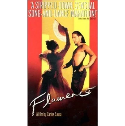 ΦΛΑΜΕΝΓΚΟ - FLAMENCO DVD USED