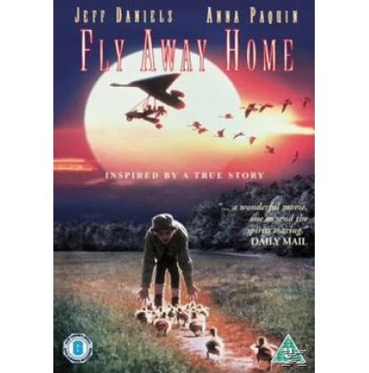 ΤΑ ΦΤΕΡΟΥΓΙΣΜΑΤΑ - FLY AWAY HOME DVD USED