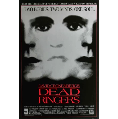 ΟΙ ΔΙΧΑΣΜΕΝΟΙ - DEAD RINGERS DVD USED