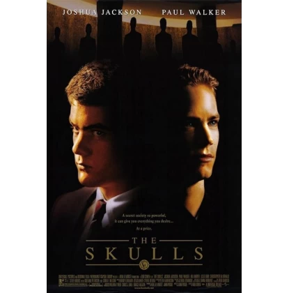 THE SKULLS DVD USED